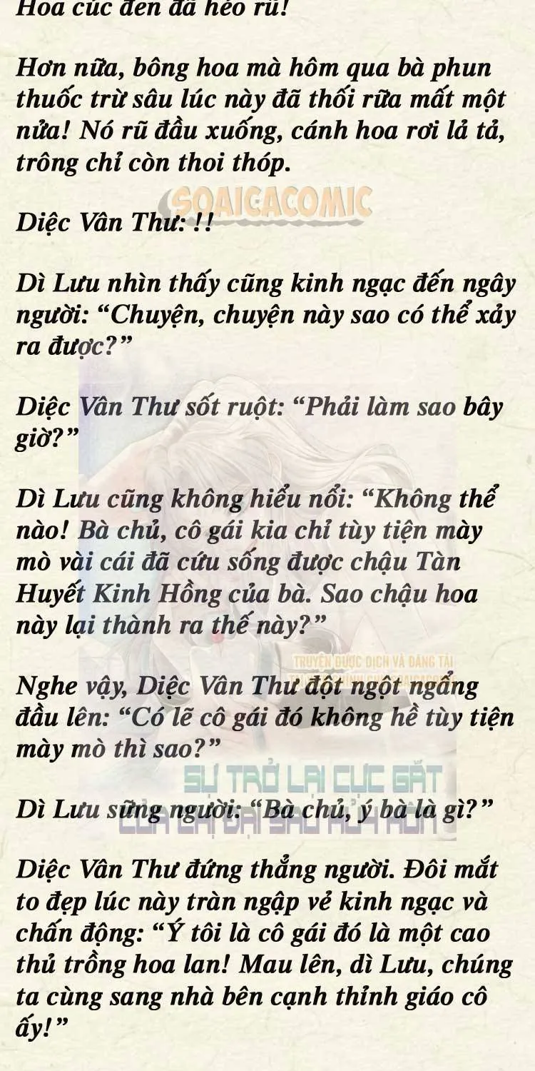 Sự Trở Lại Cực Gắt Của Chị Đại Sau Hủy Hôn Chap 249 - Next Chap 250