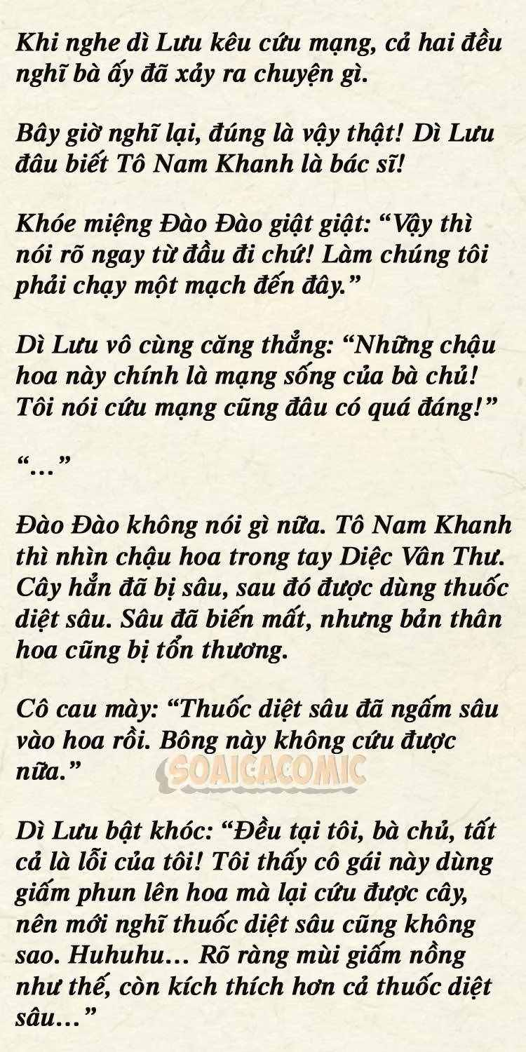 Sự Trở Lại Cực Gắt Của Chị Đại Sau Hủy Hôn Chap 250 - Next Chap 251