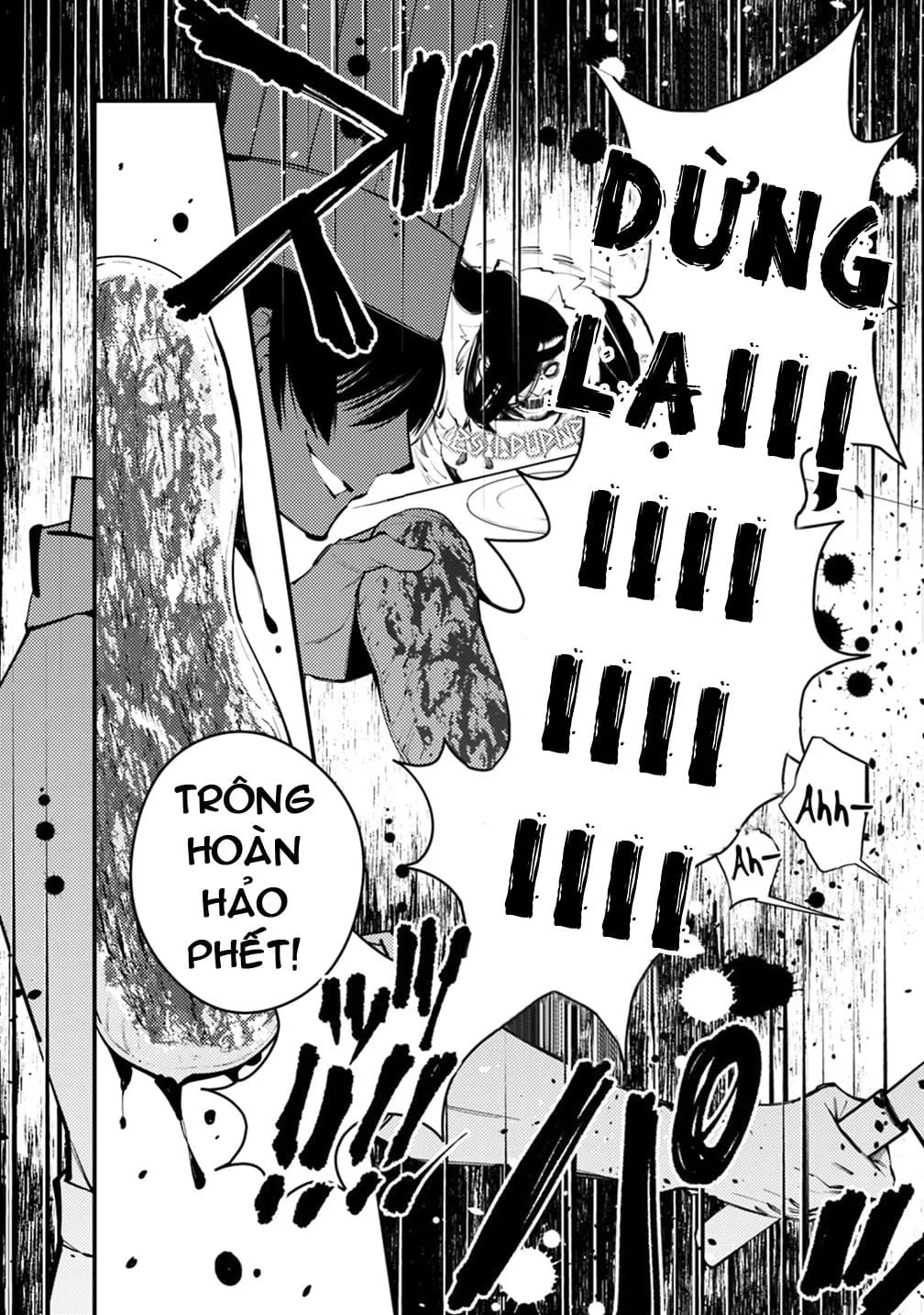 Sự Trỗi Dậy Của Anh Hùng Hắc Ám Chap 11 - Next Chap 12