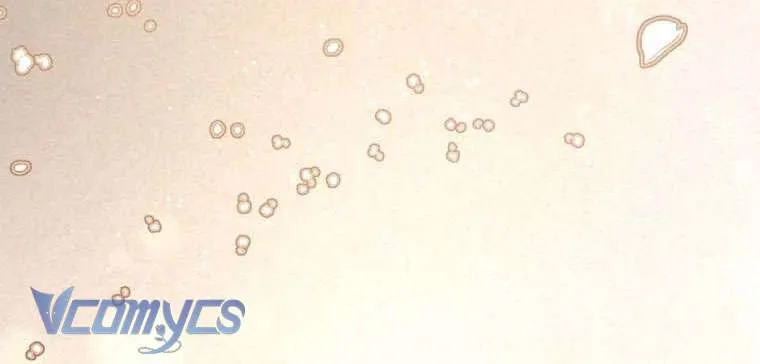 [Sứa Biển] Em Trai Tôi Là Hoàng Đế Ngang Ngược Chap 101 - Next Chap 102