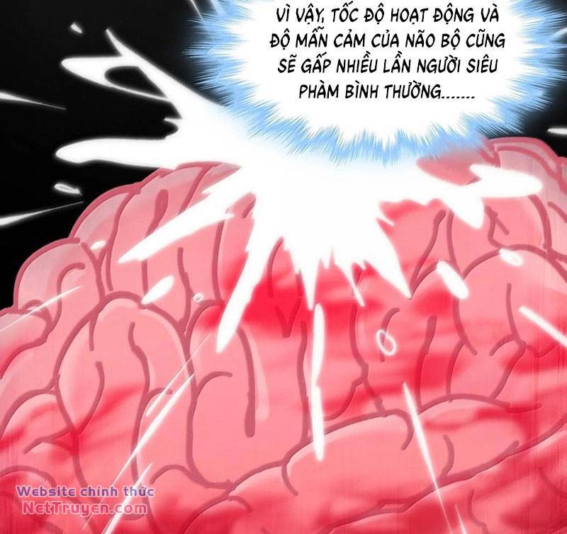 Sức Mạnh Của Ác Thần Chap 121 - Next Chap 122