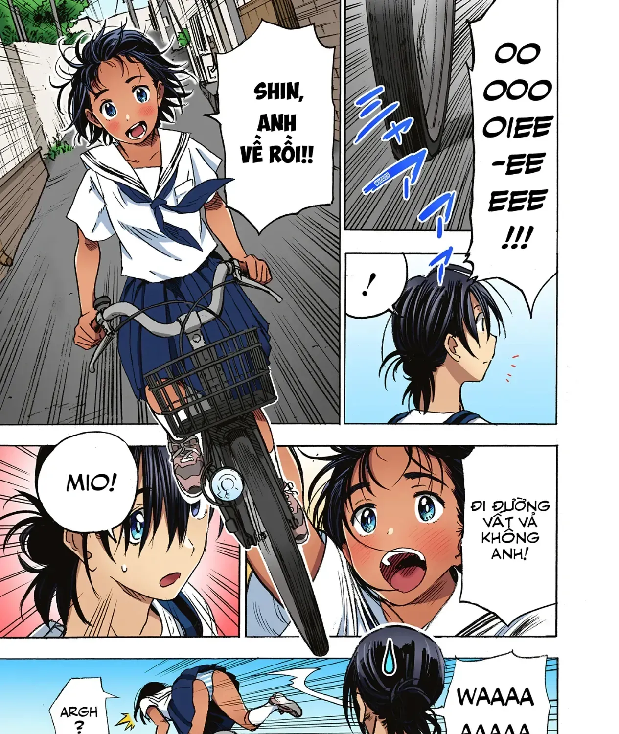 26