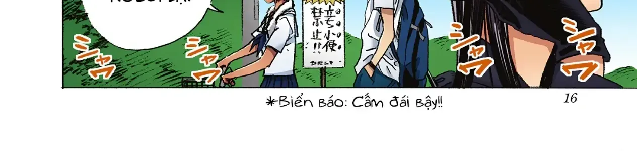 33