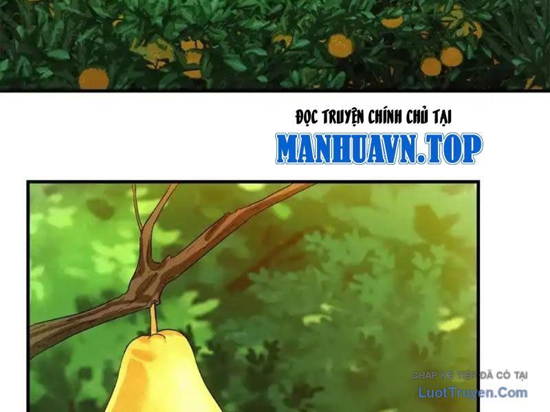 Ta Bán Hàng Vỉa Hè Ở Mạt Thế Chap 75 - Next Chap 76