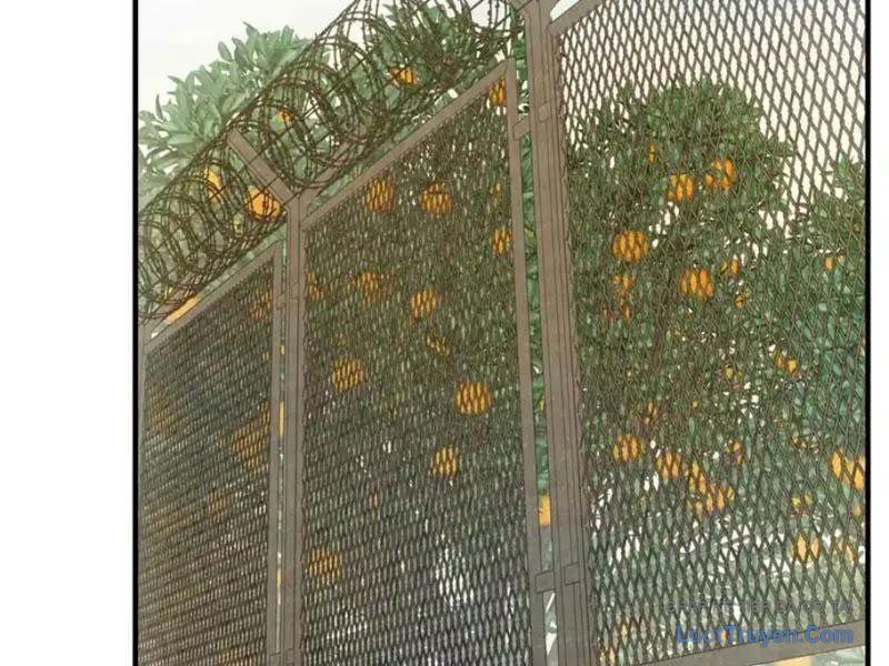 Ta Bán Hàng Vỉa Hè Ở Mạt Thế Chap 75 - Next Chap 76