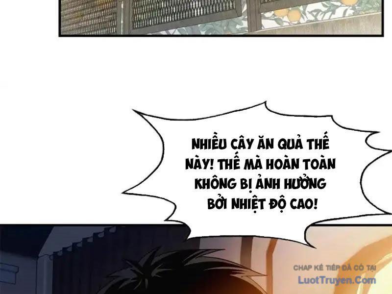 Ta Bán Hàng Vỉa Hè Ở Mạt Thế Chap 75 - Next Chap 76
