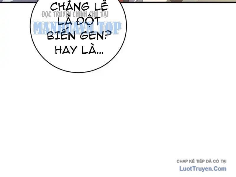 Ta Bán Hàng Vỉa Hè Ở Mạt Thế Chap 75 - Next Chap 76