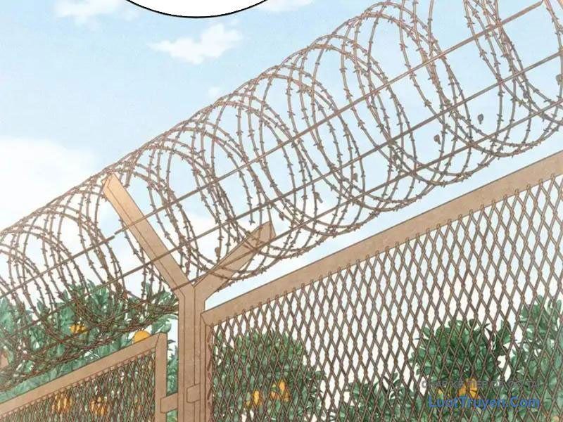 Ta Bán Hàng Vỉa Hè Ở Mạt Thế Chap 75 - Next Chap 76