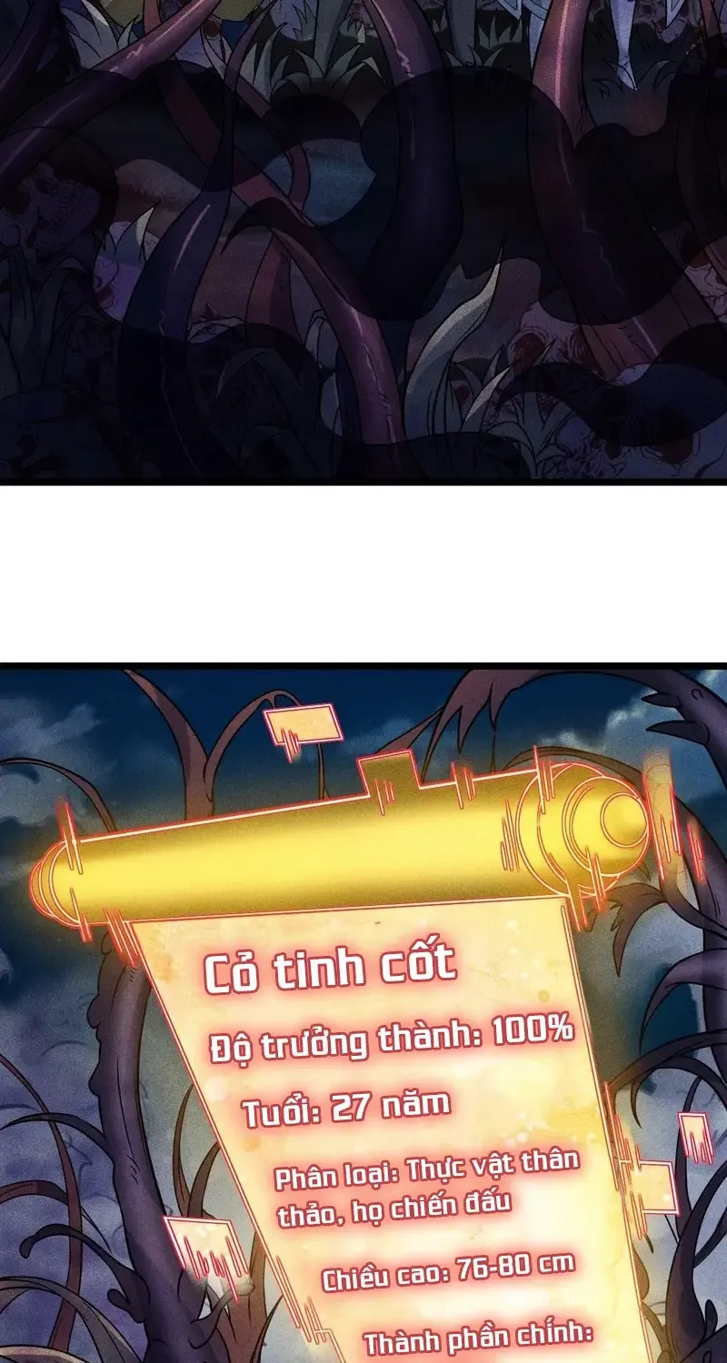 Ta Chỉ Muốn Luyện Đan, Nào Ngờ Phi Thăng Thành Thần Chap 4 - Next Chap 5