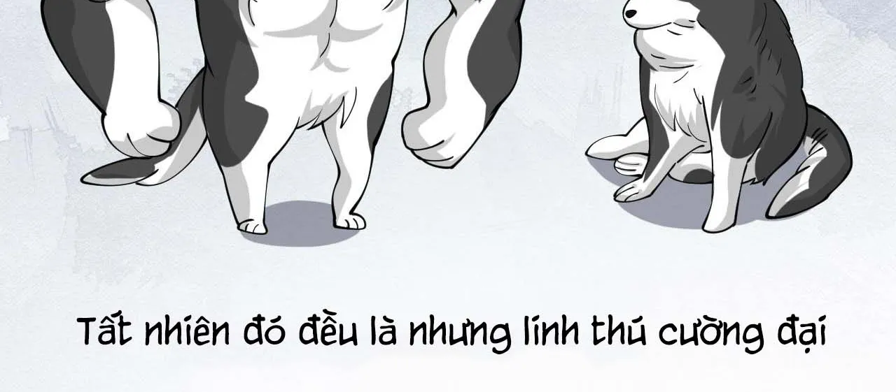 Ta Đến Từ Thời Không Chap 2 - Next Chap 3