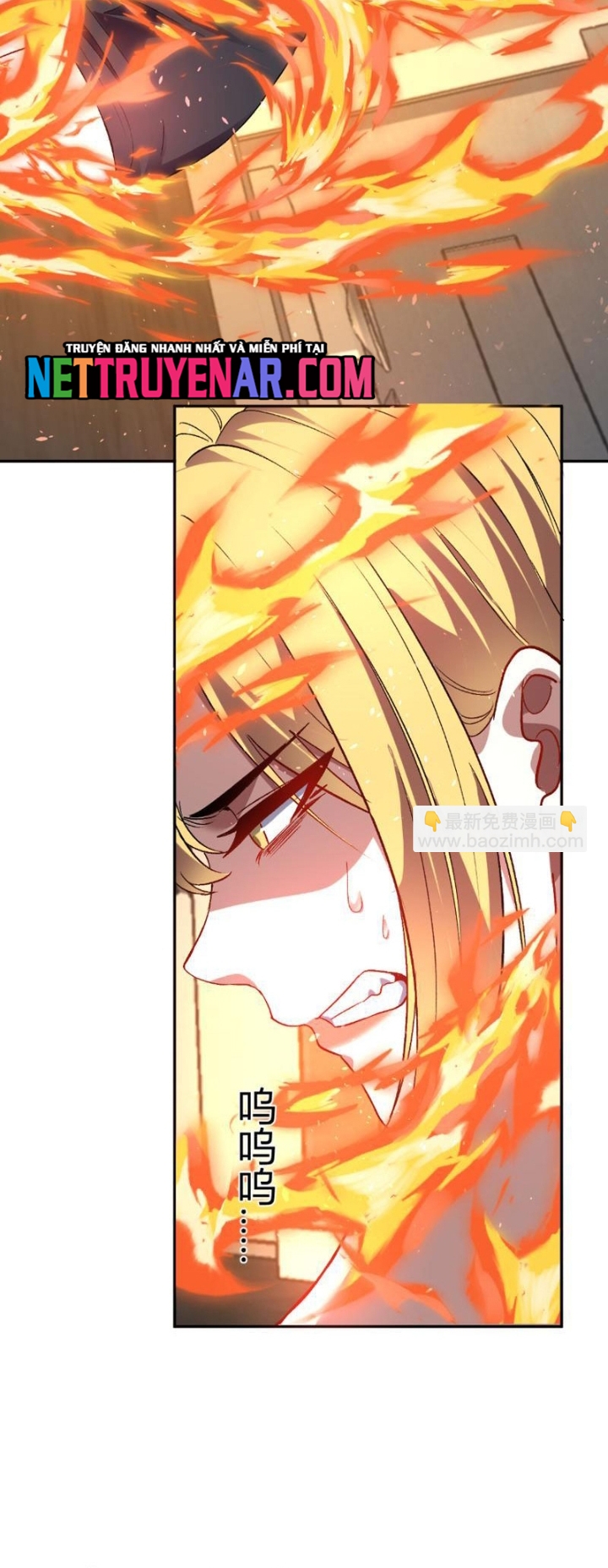 Ta Hoá Thân Ma Thần, Trở Thành Diệt Thế Cự Thú! Chap 59 - Next Chap 60