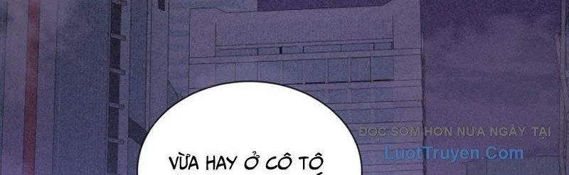 Ta Học Trảm Thần Trong Bệnh Viện Tâm Thần Chap 285 - Next Chap 286