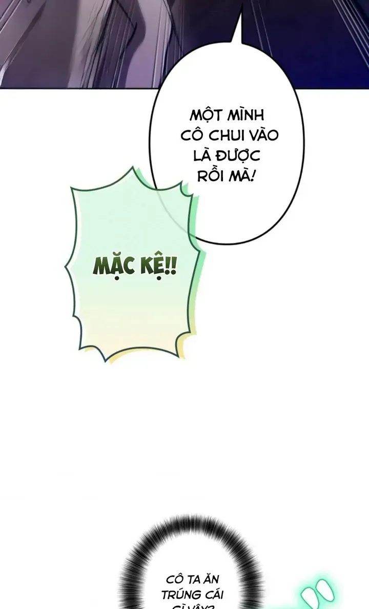 Ta Là Anh Hùng Nhưng Các Nữ Chính Lại Muốn Giết Ta Chap 47 - Next Chap 48