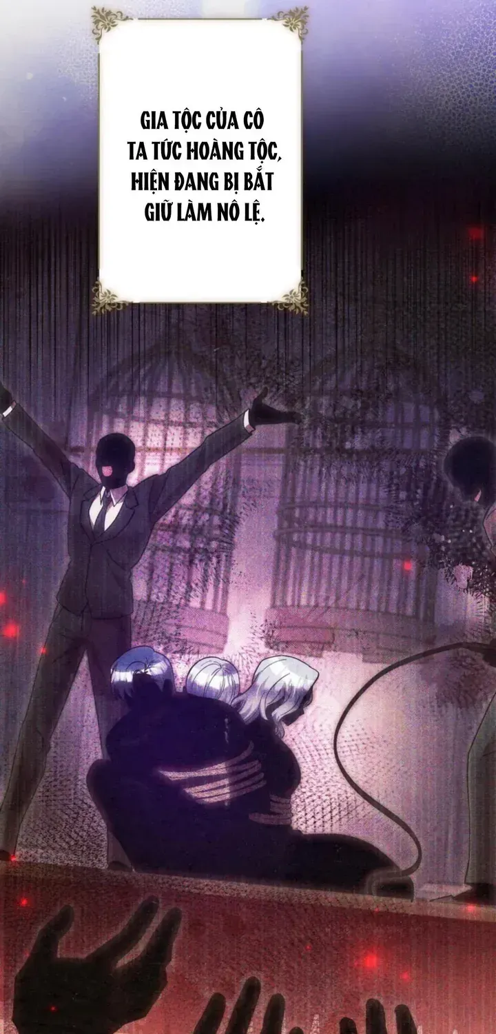 Ta Là Anh Hùng Nhưng Các Nữ Chính Lại Muốn Giết Ta Chap 47 - Next Chap 48