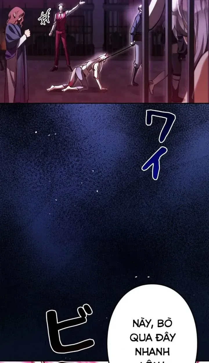 Ta Là Anh Hùng Nhưng Các Nữ Chính Lại Muốn Giết Ta Chap 51 - Next Chap 52