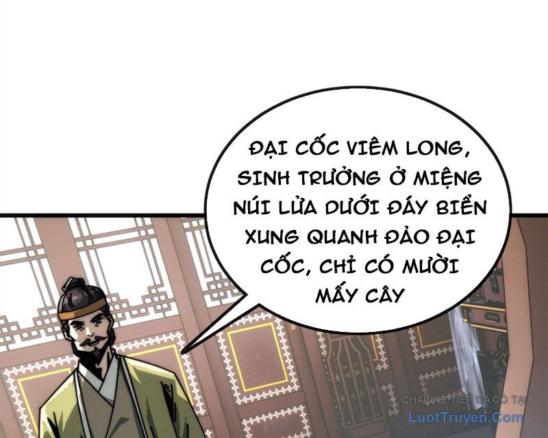 Ta Mô Phỏng Con Đường Trường Sinh Chap 13 - Next Chap 14