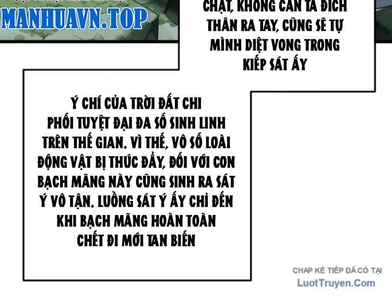 Ta Mô Phỏng Con Đường Trường Sinh Chap 32 - Next Chap 33