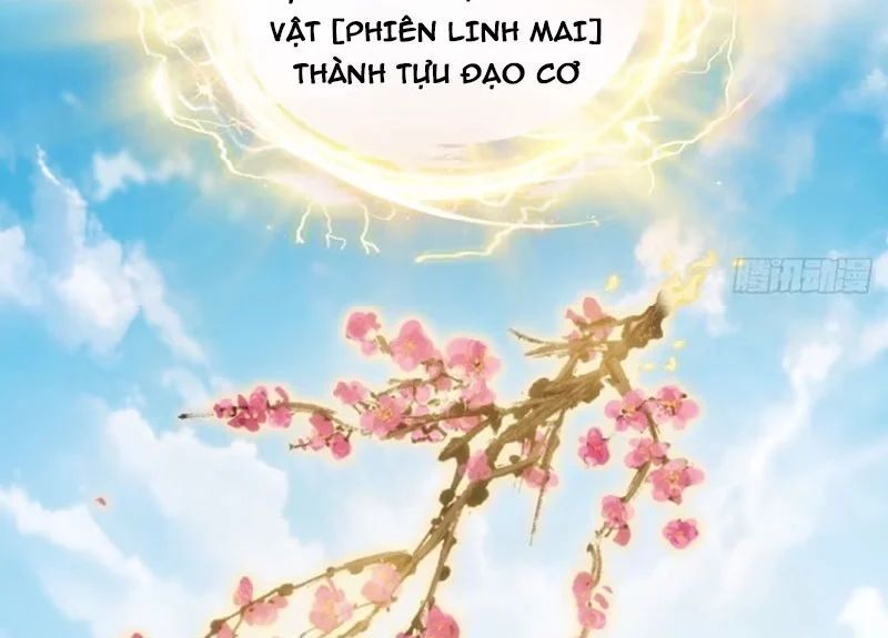 Ta Mô Phỏng Con Đường Trường Sinh Chap 32 - Next Chap 33