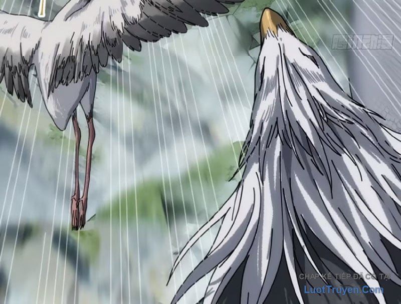 Ta Mô Phỏng Con Đường Trường Sinh Chap 32 - Next Chap 33