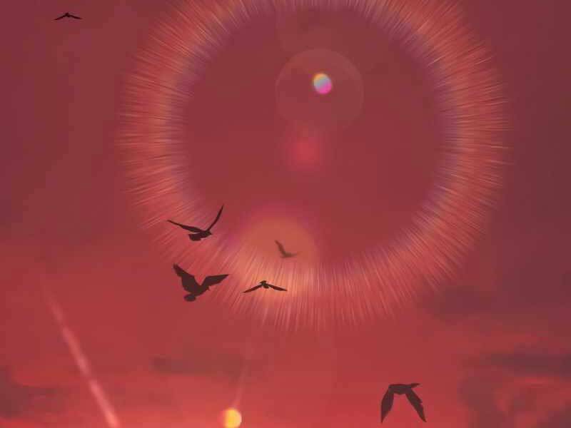 Ta Nhận Được Vật Phẩm Thần Thoại Chap 11.5 - Next Chap 12.5