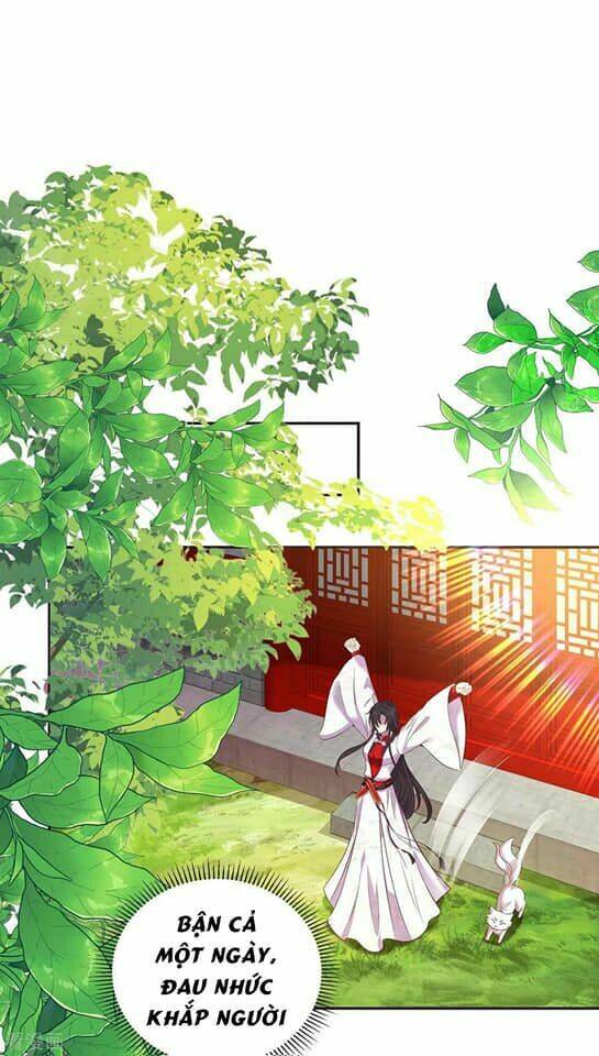 Ta Ở Dị Giới Nuôi Dưỡng Nam Thần: Thần Y Cửu Tiểu Thư Chap 157 - Next Chap 158