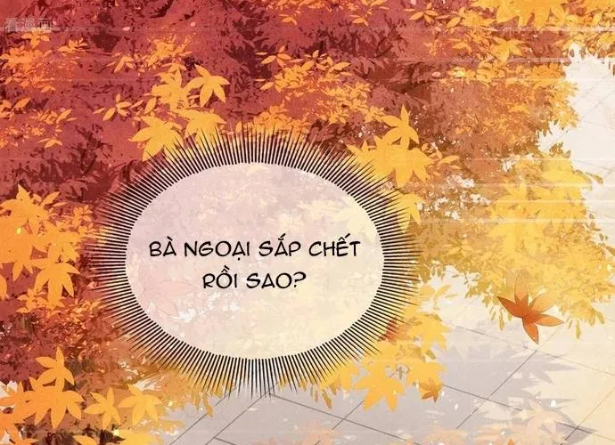 Ta Ở Hoàng Cung Làm Đại Boss Chap 39 - Next Chap 40