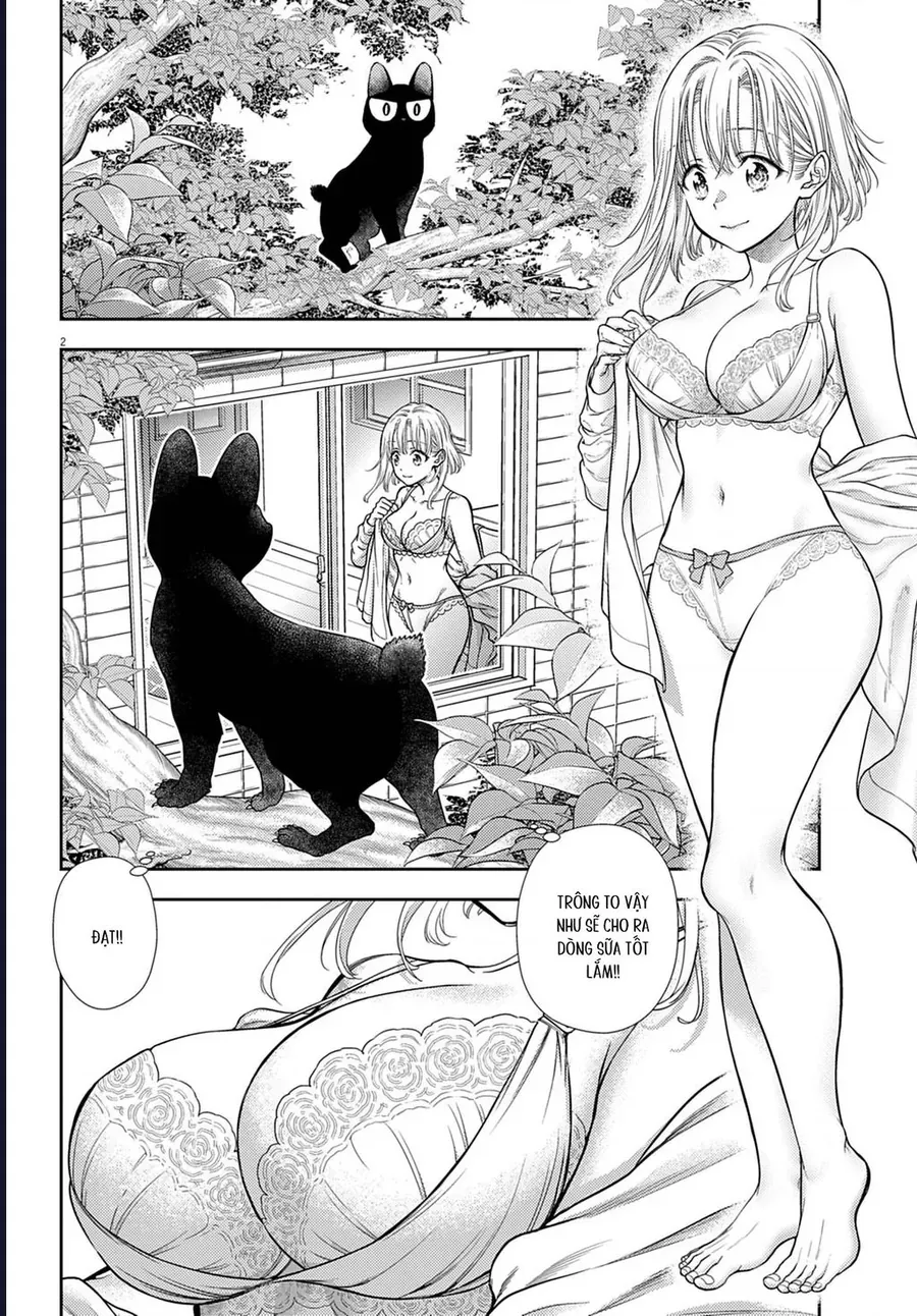 Ta Rủa 7 Đời Nhà Cậu Đấy, Hãy Mau Kết Hôn Đi Chap 2 - Next Chap 3