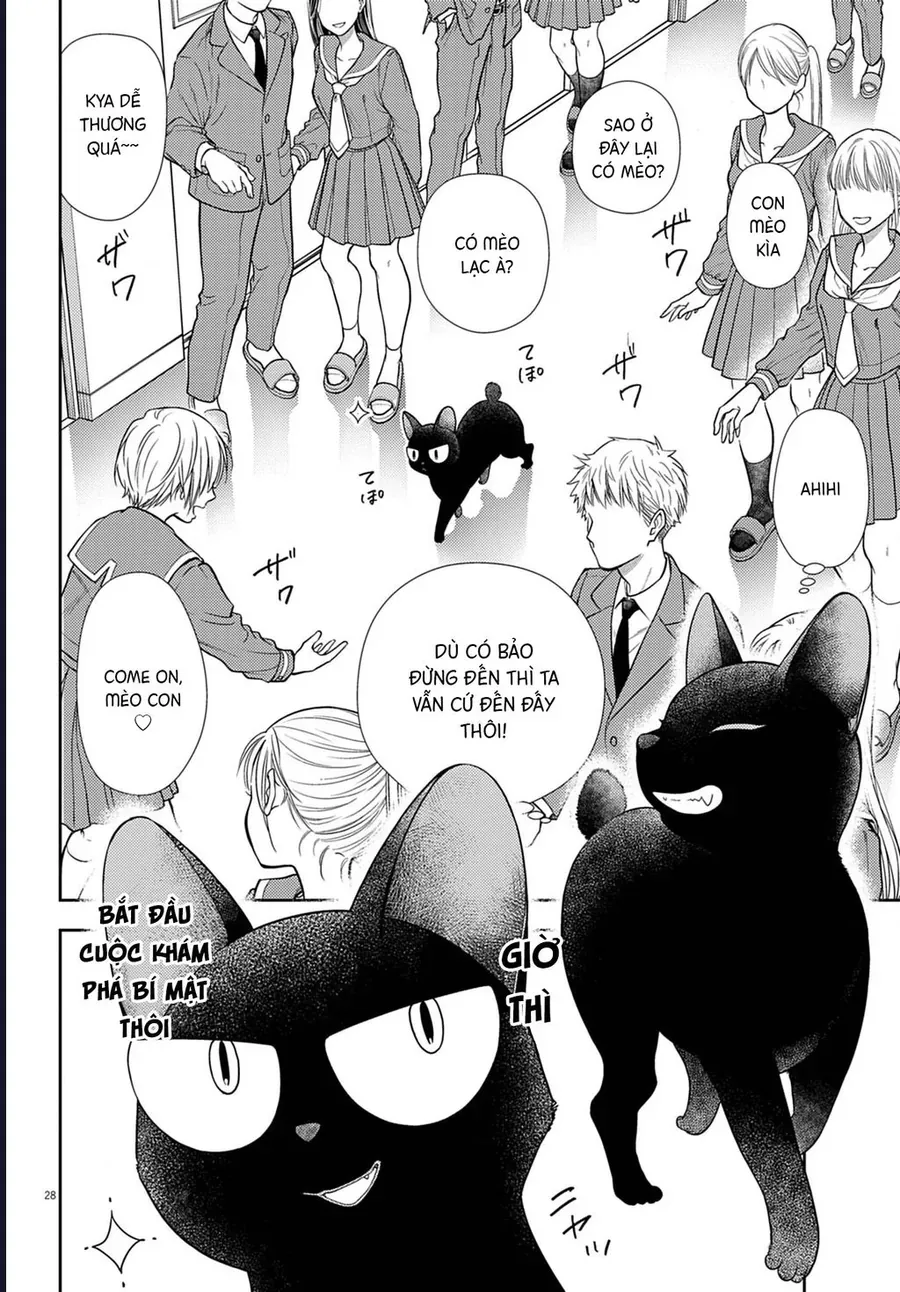 Ta Rủa 7 Đời Nhà Cậu Đấy, Hãy Mau Kết Hôn Đi Chap 2 - Next Chap 3