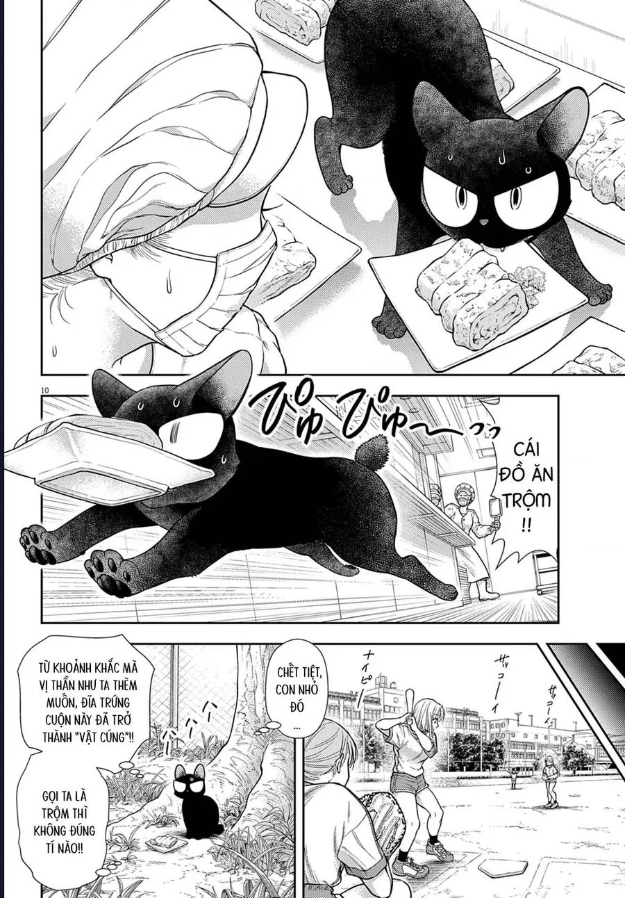 Ta Rủa 7 Đời Nhà Cậu Đấy, Hãy Mau Kết Hôn Đi Chap 3 - Next Chap 4