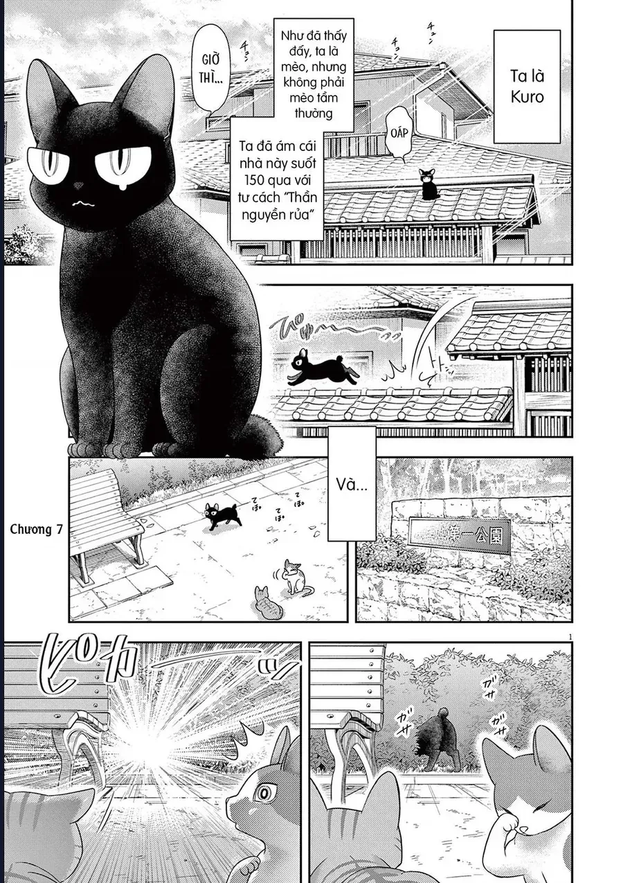 Ta Rủa 7 Đời Nhà Cậu Đấy, Hãy Mau Kết Hôn Đi Chap 7 - Next Chap 8