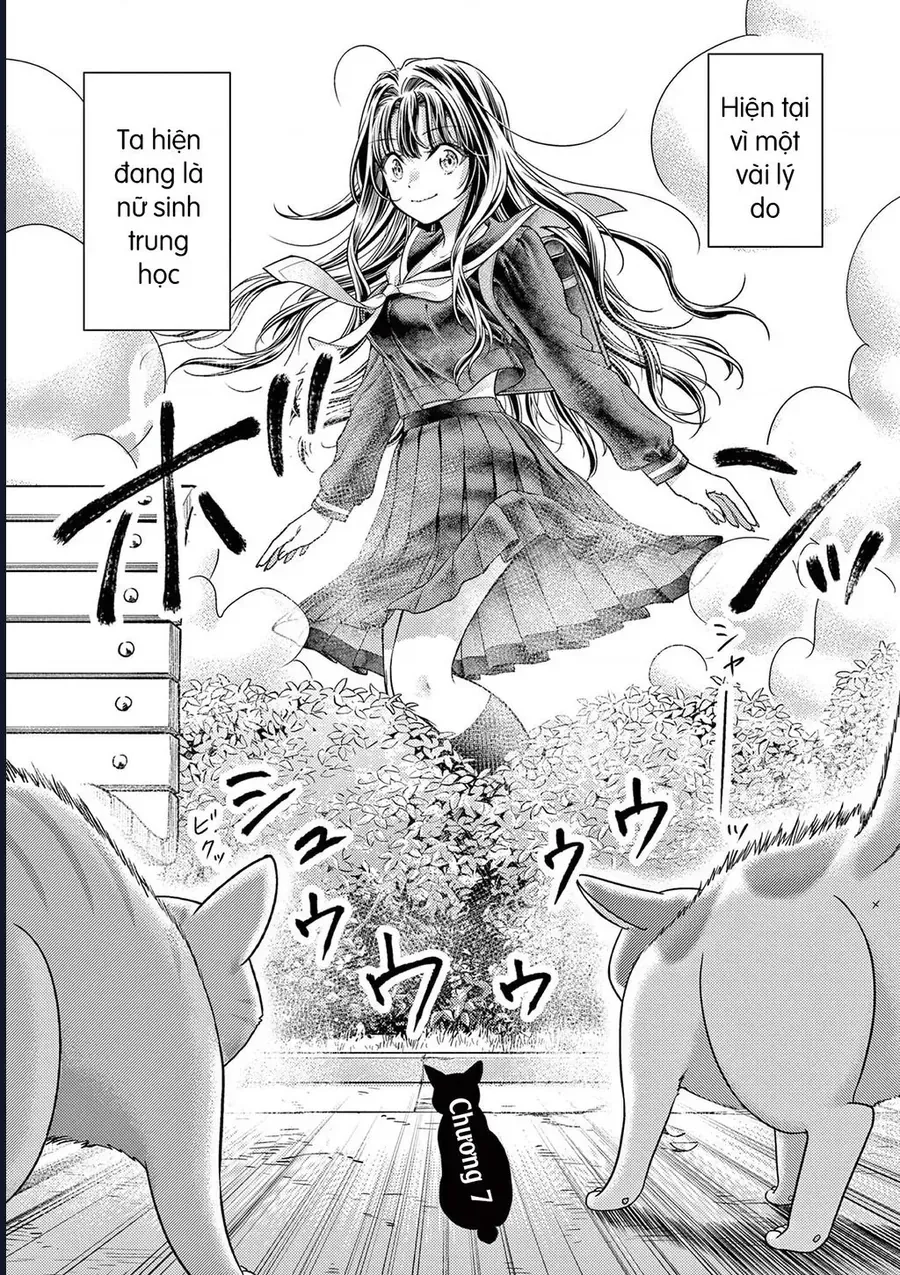 Ta Rủa 7 Đời Nhà Cậu Đấy, Hãy Mau Kết Hôn Đi Chap 7 - Next Chap 8