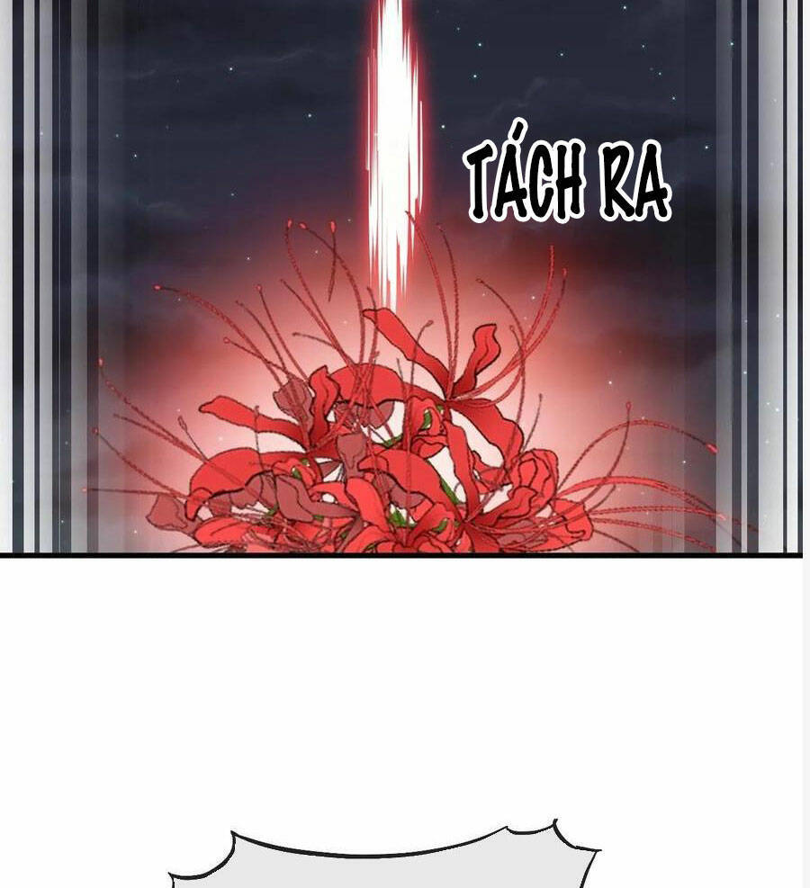 Ta Thật Không Phải Là Khí Vận Chi Tử Chap 223 - Next Chap 224