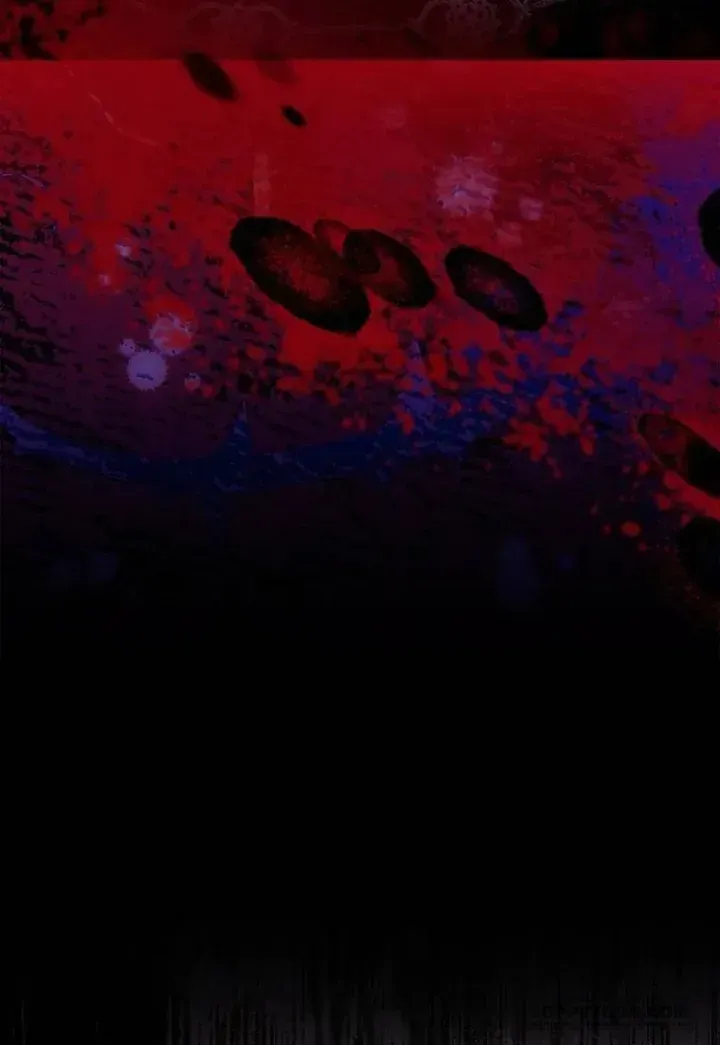 81