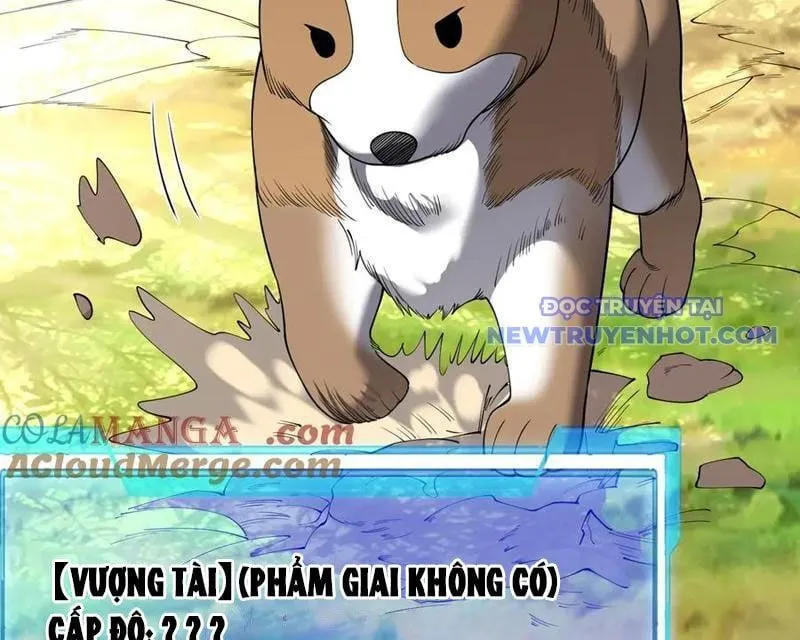 Ta Trở Thành Đại Phản Diện Của Toàn Sever Chap 92 - Next Chap 93