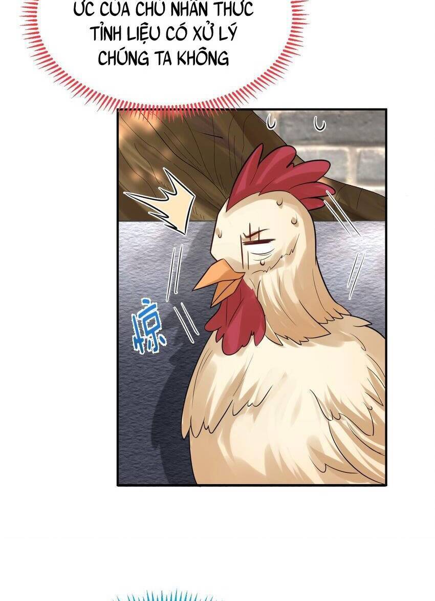 Ta Vô Địch Lúc Nào Chap 121 - Next Chap 122