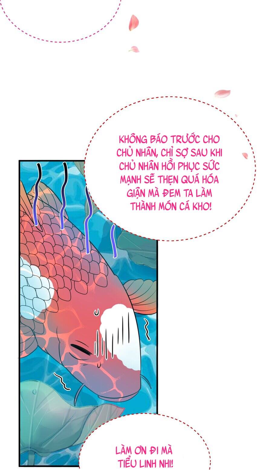 Ta Vô Địch Lúc Nào Chap 126 - Next Chap 127
