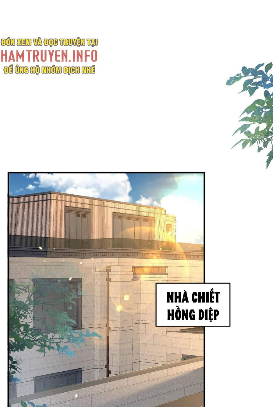 Ta Vô Địch Lúc Nào Chap 174 - Next Chap 175