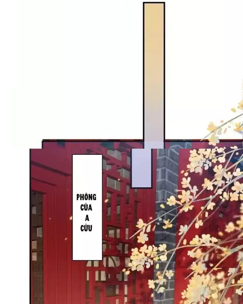 Ta Vô Địch Lúc Nào Chap 219 - Next Chap 220