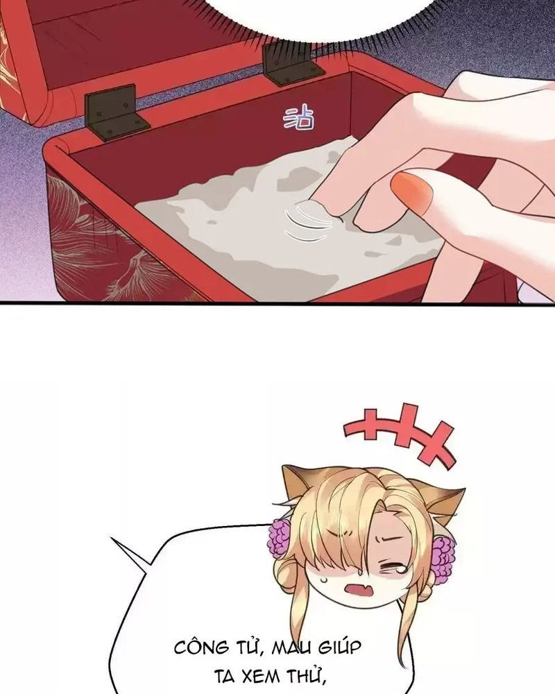 Ta Vô Địch Lúc Nào Chap 219 - Next Chap 220