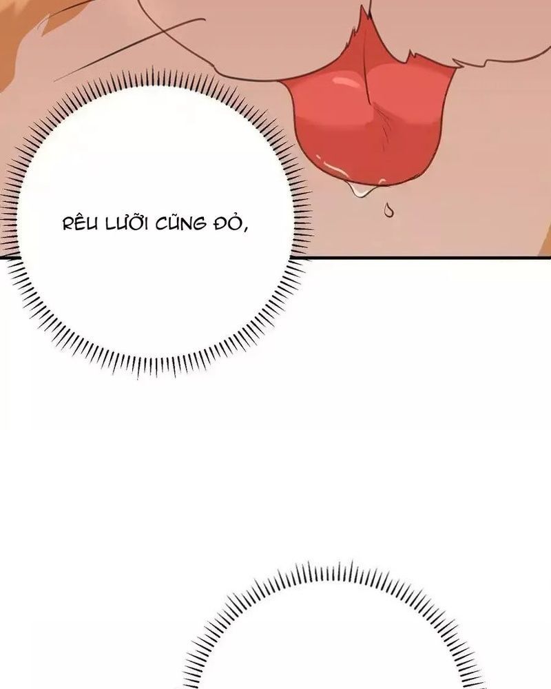 Ta Vô Địch Lúc Nào Chap 219 - Next Chap 220