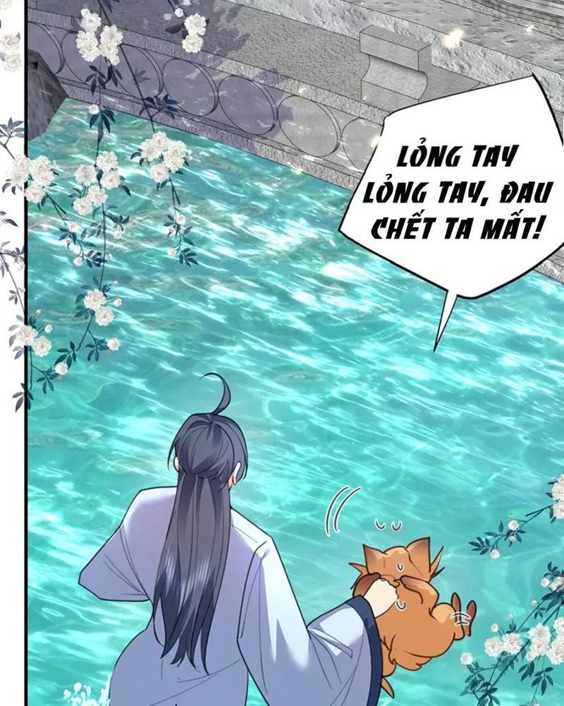 Ta Vô Địch Lúc Nào Chap 219 - Next Chap 220