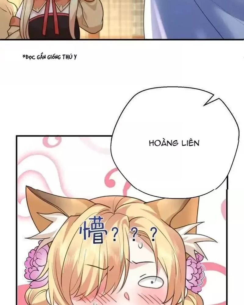 Ta Vô Địch Lúc Nào Chap 220 - Next Chap 221