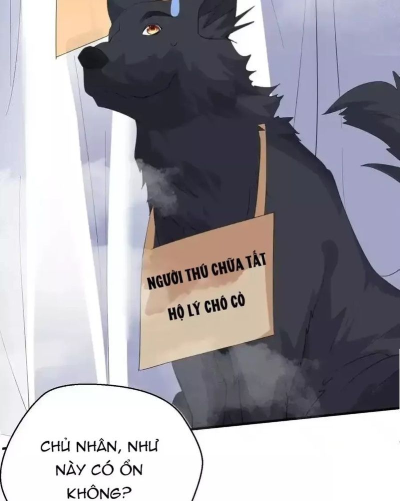 Ta Vô Địch Lúc Nào Chap 224 - Next Chap 225