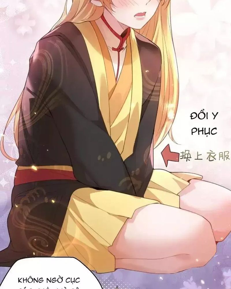 Ta Vô Địch Lúc Nào Chap 224 - Next Chap 225