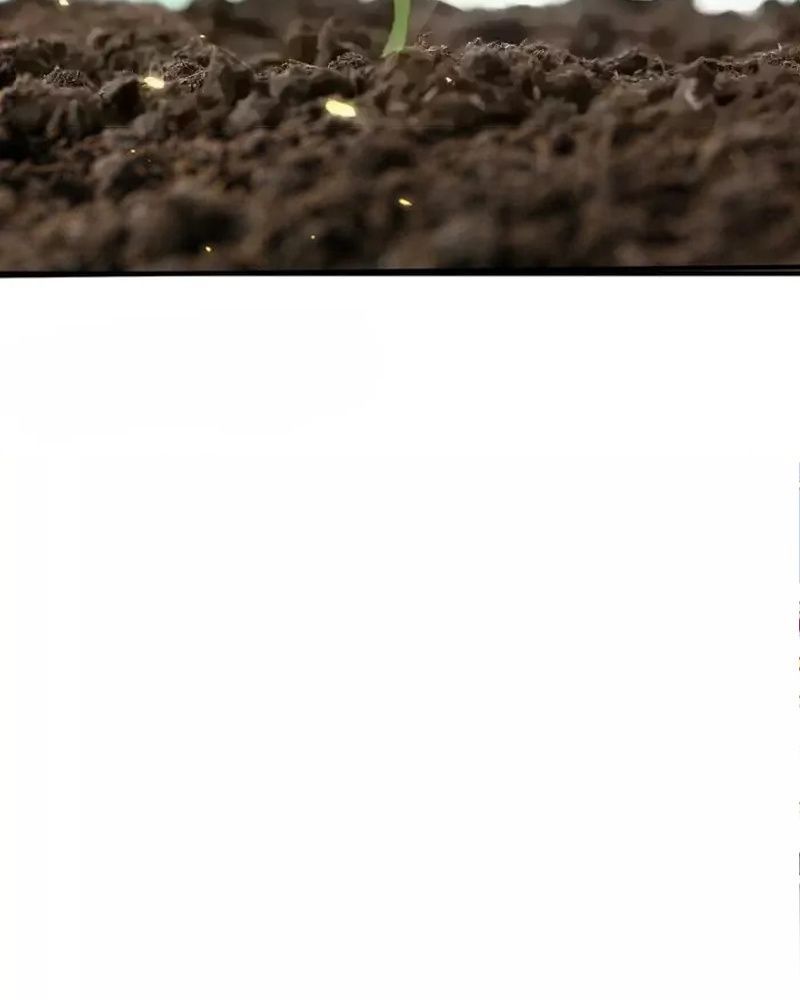 Ta Vô Địch Lúc Nào Chap 225 - Next Chap 226