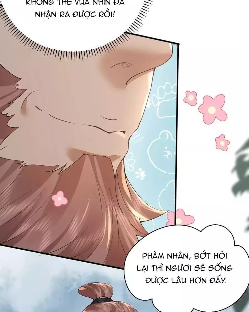 Ta Vô Địch Lúc Nào Chap 227 - Next Chap 228