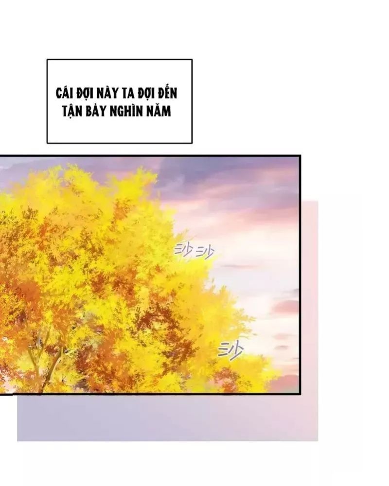 Ta Vô Địch Lúc Nào Chap 228 - Next Chap 229