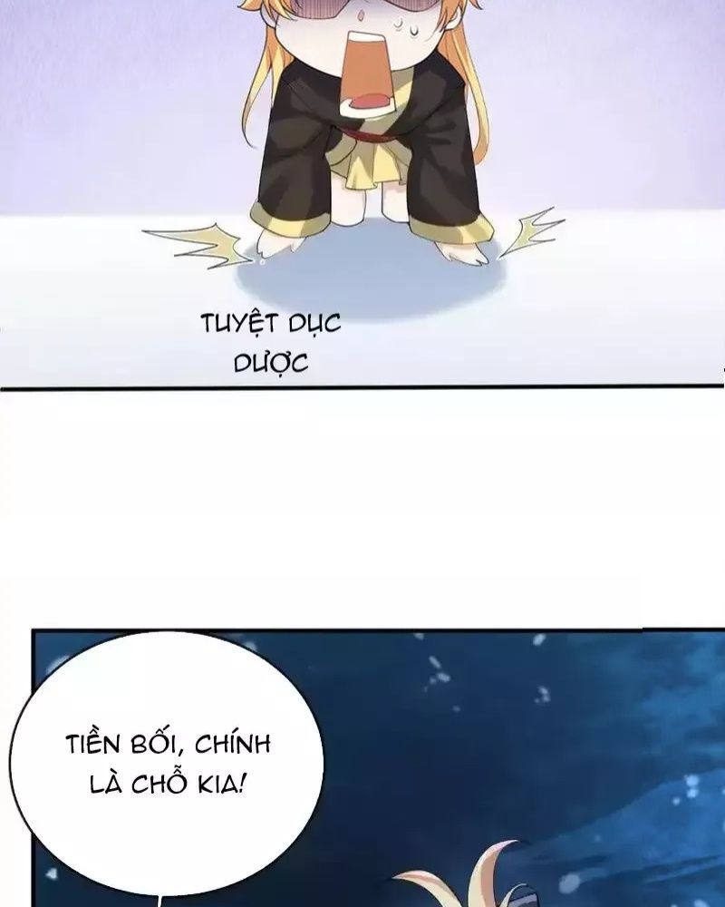 Ta Vô Địch Lúc Nào Chap 230 - Next Chap 231