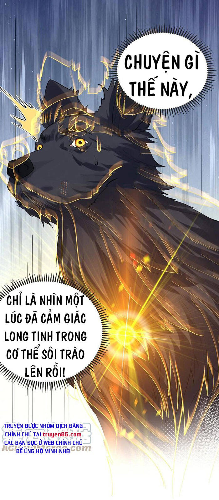 Ta Vô Địch Lúc Nào Chap 37 - Next Chap 38