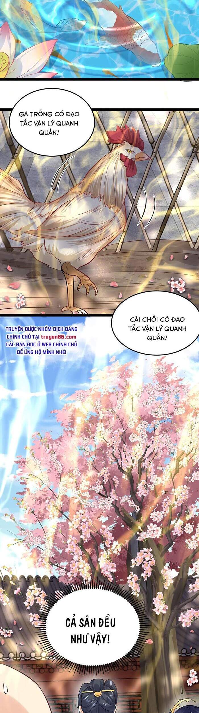 Ta Vô Địch Lúc Nào Chap 4 - Next Chap 5
